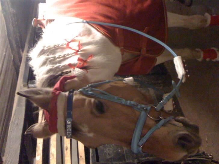 Julehygge på blis Rideklub billede 11