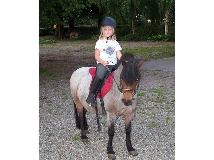 {{currentPhoto.altText}} billede {{currentPhoto.number}}