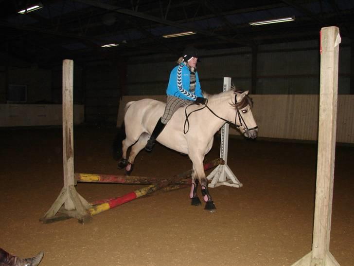 Julie og Nikoline billede 2