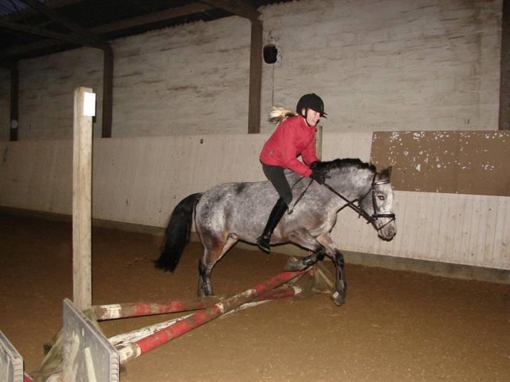 Julie og Nikoline billede 8