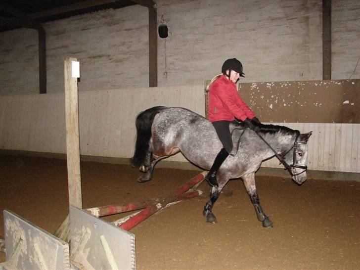 Julie og Nikoline billede 14
