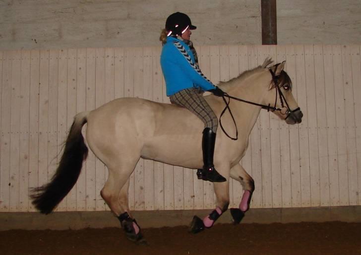 Julie og Nikoline billede 15