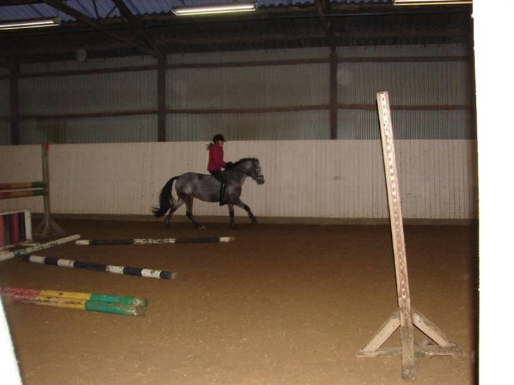 Julie og Nikoline billede 16