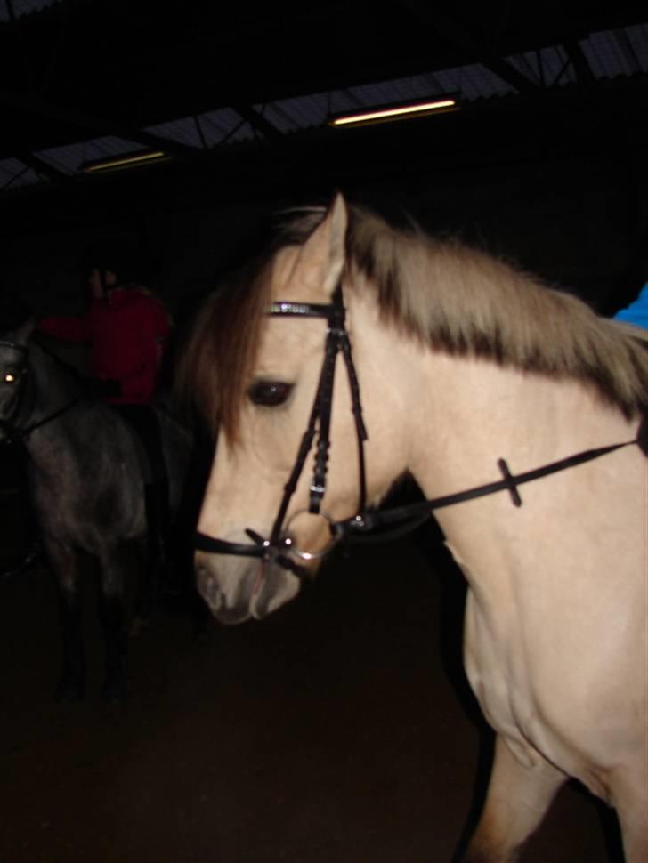 Julie og Nikoline billede 19