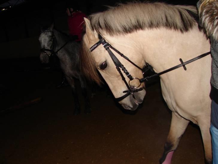 Julie og Nikoline billede 20