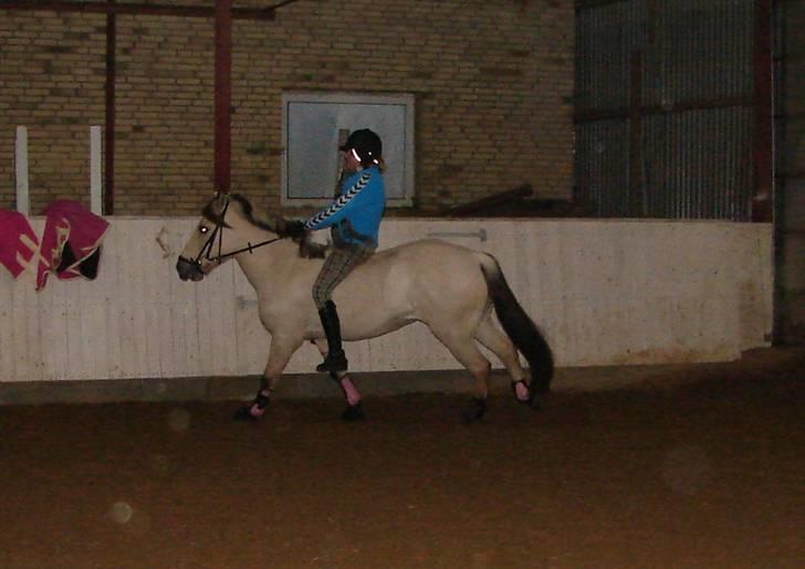 Julie og Nikoline billede 23