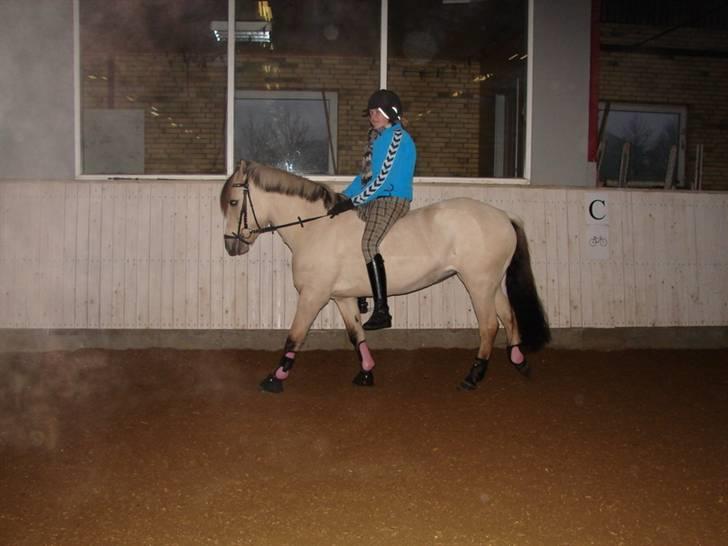 Julie og Nikoline billede 26