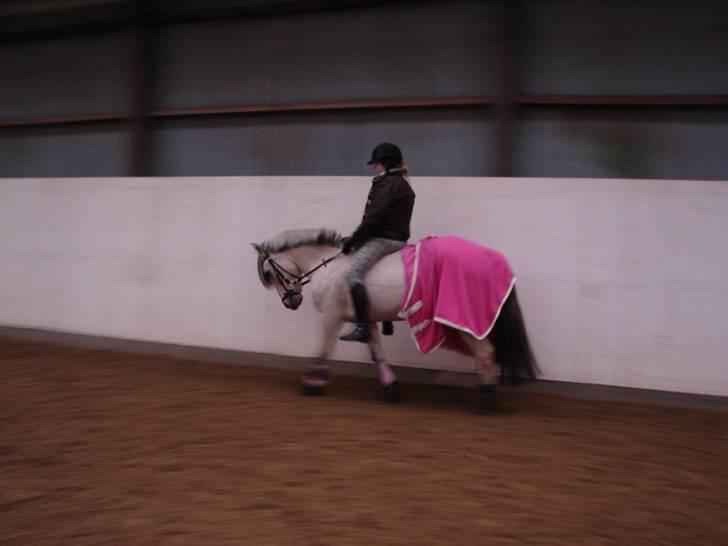 Julie og Nikoline billede 29