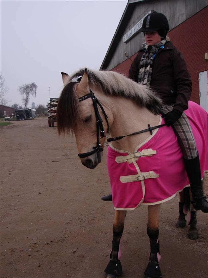 Julie og Nikoline billede 42