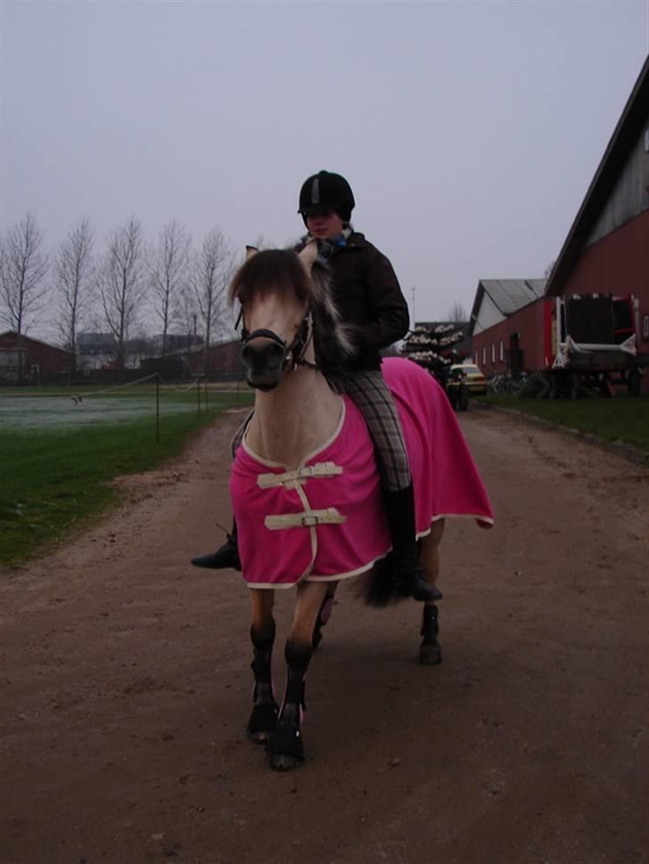 Julie og Nikoline billede 44