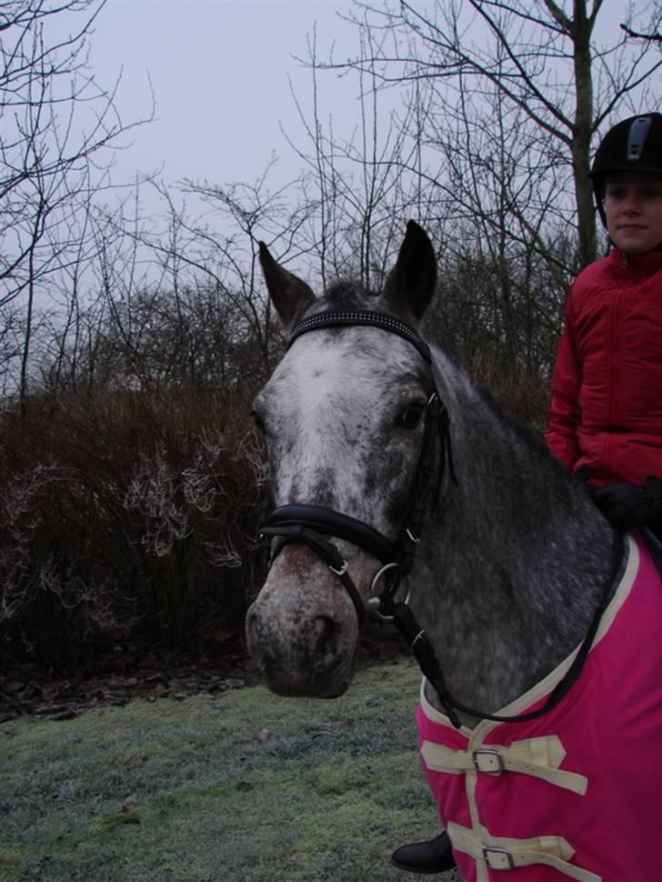 Julie og Nikoline billede 49