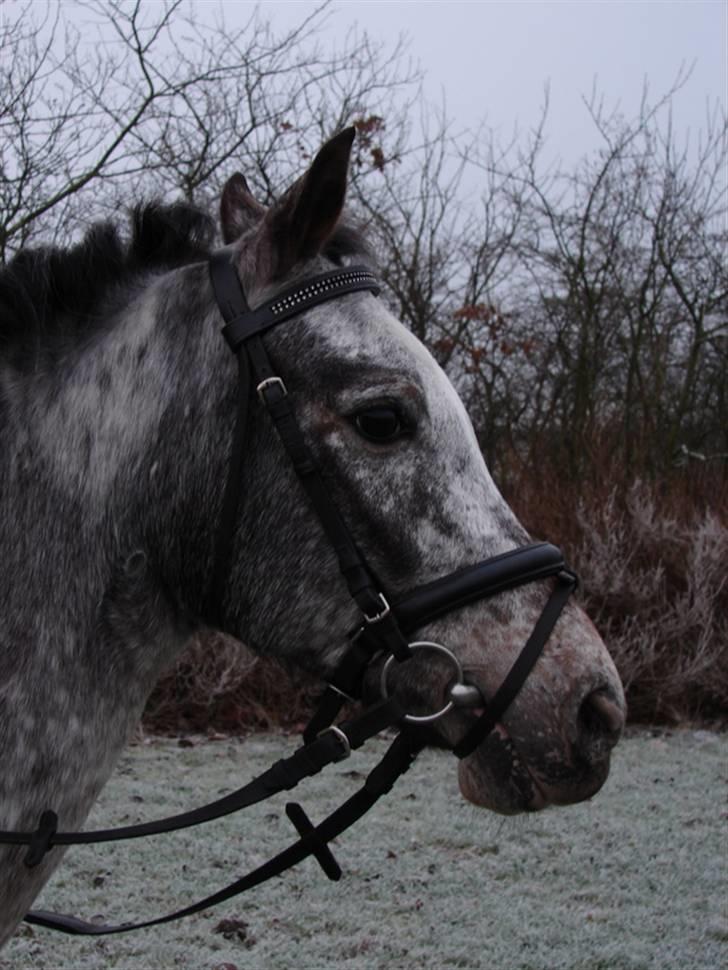 Julie og Nikoline billede 53