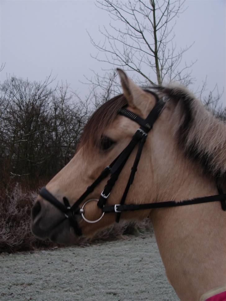 Julie og Nikoline billede 55