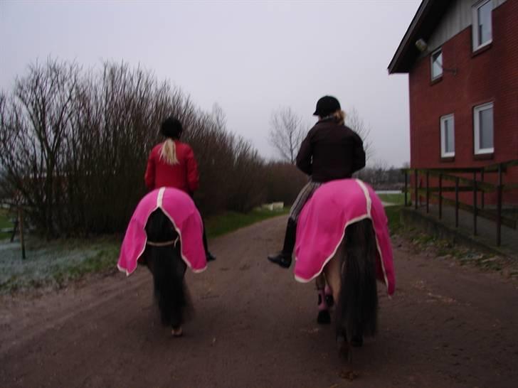 Julie og Nikoline billede 57