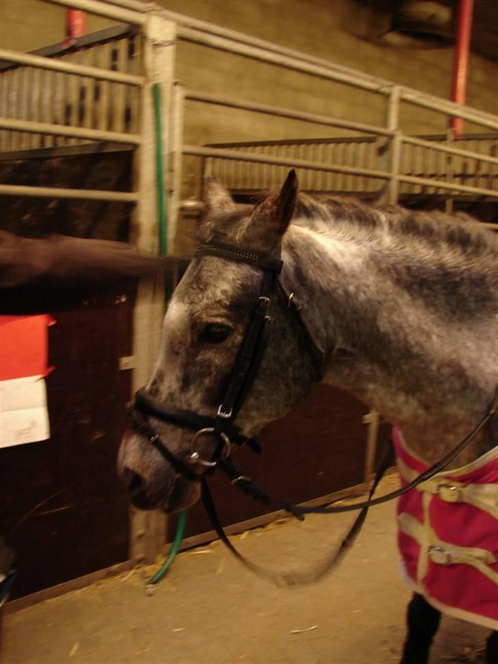 Julie og Nikoline billede 58