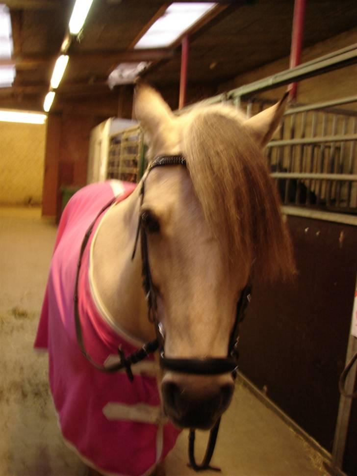 Julie og Nikoline billede 59