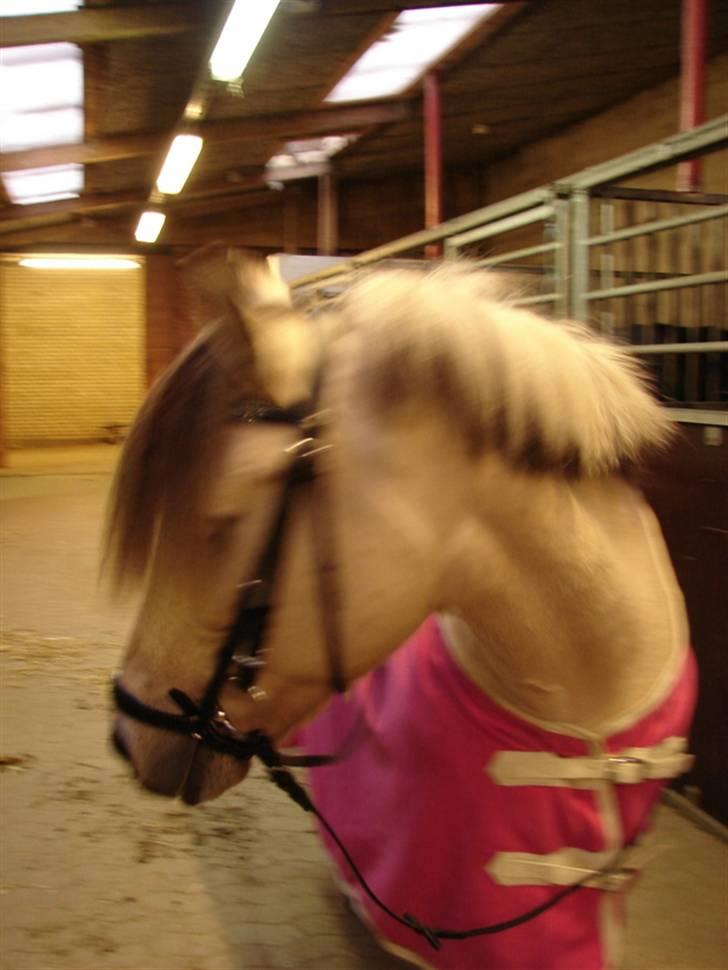 Julie og Nikoline billede 60