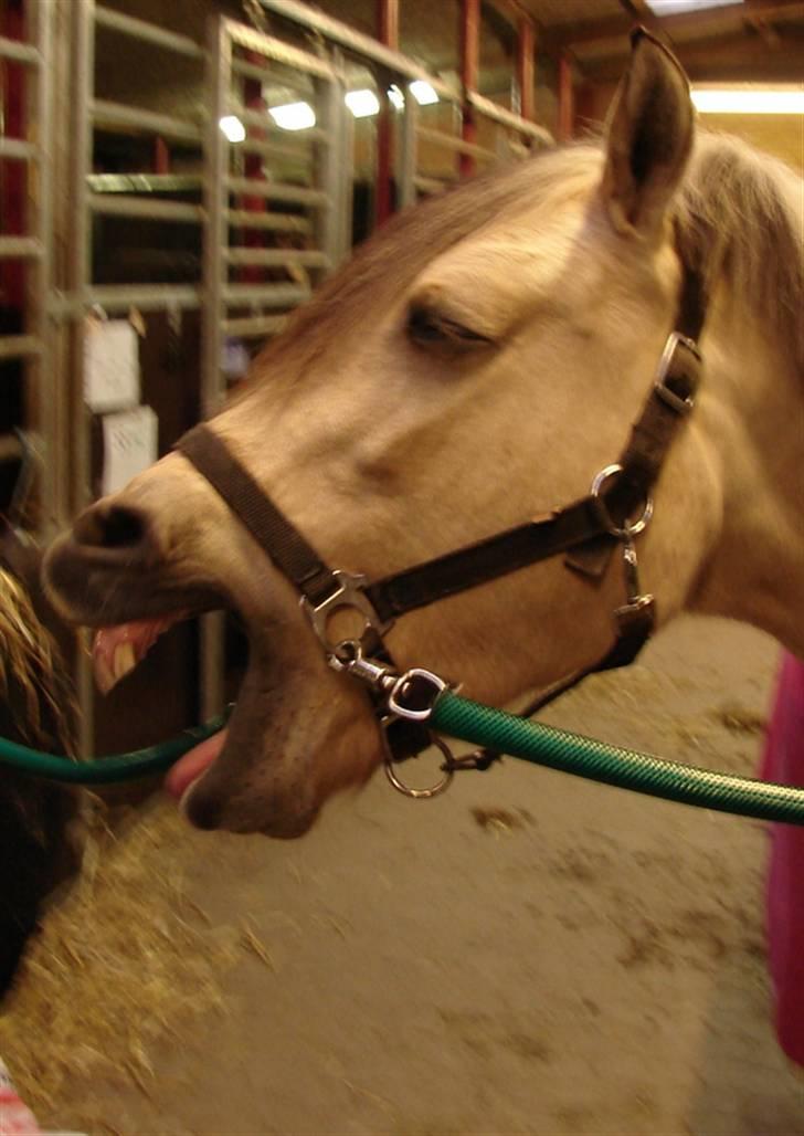 Julie og Nikoline billede 61