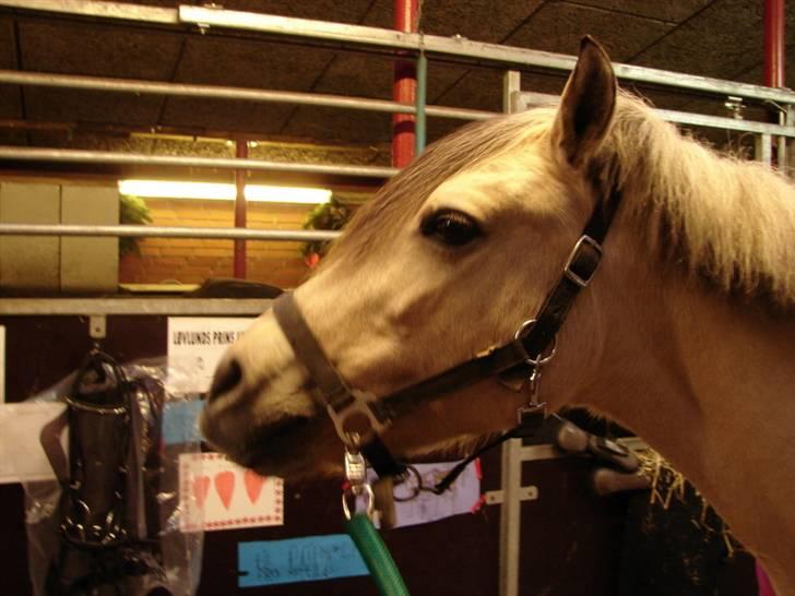 Julie og Nikoline billede 63