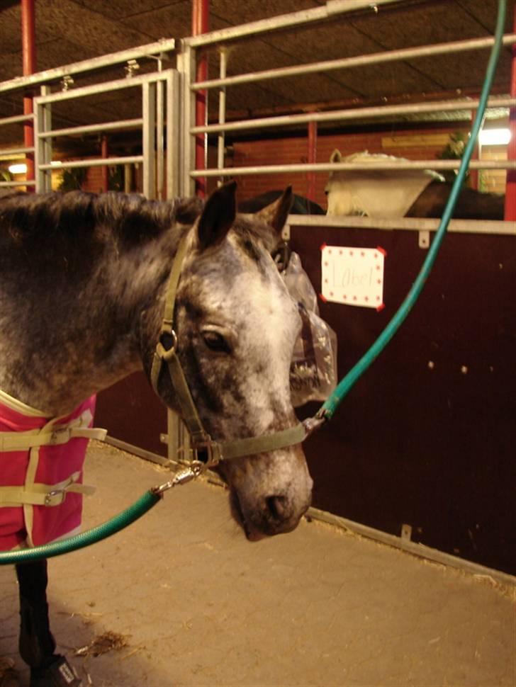 Julie og Nikoline billede 64