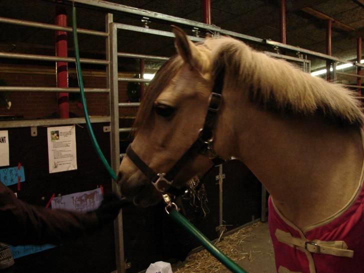 Julie og Nikoline billede 66