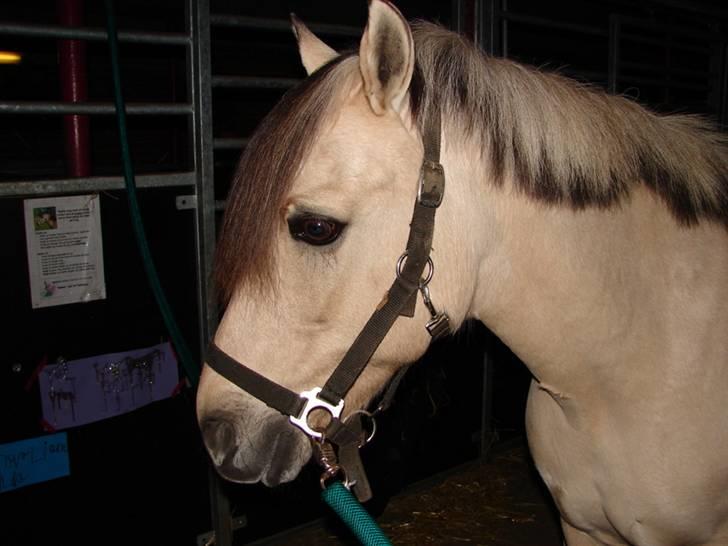 Julie og Nikoline billede 69