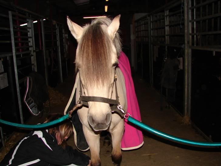 Julie og Nikoline billede 70