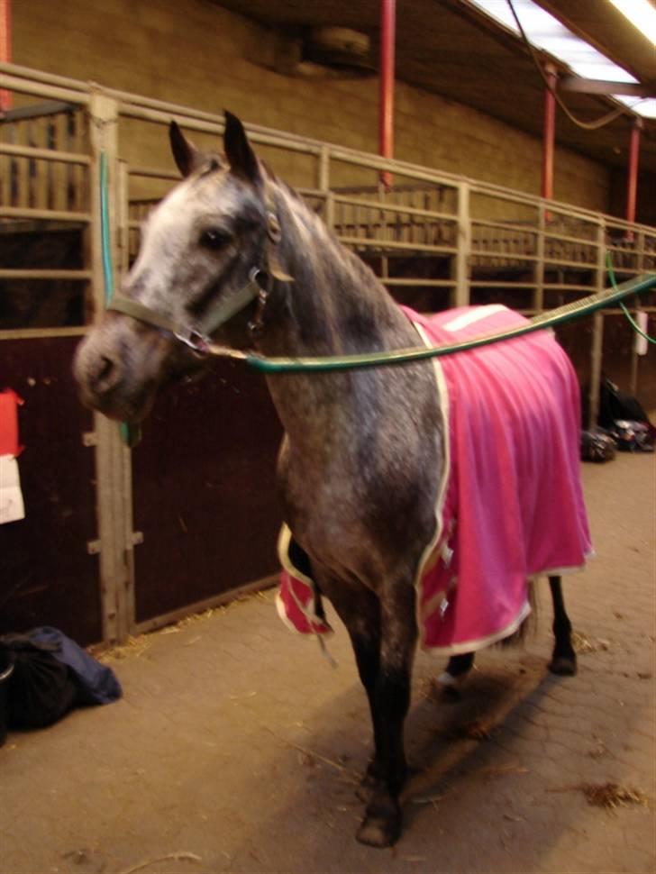 Julie og Nikoline billede 72