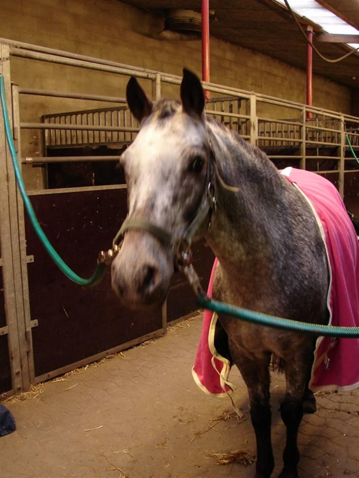 Julie og Nikoline billede 73