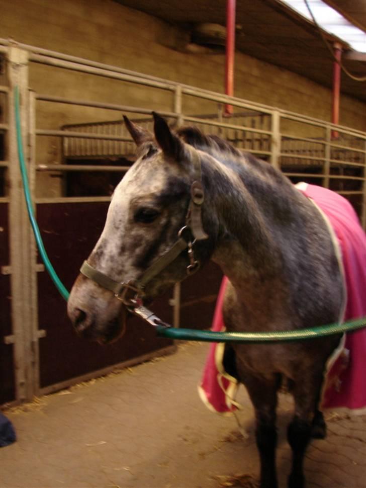 Julie og Nikoline billede 74