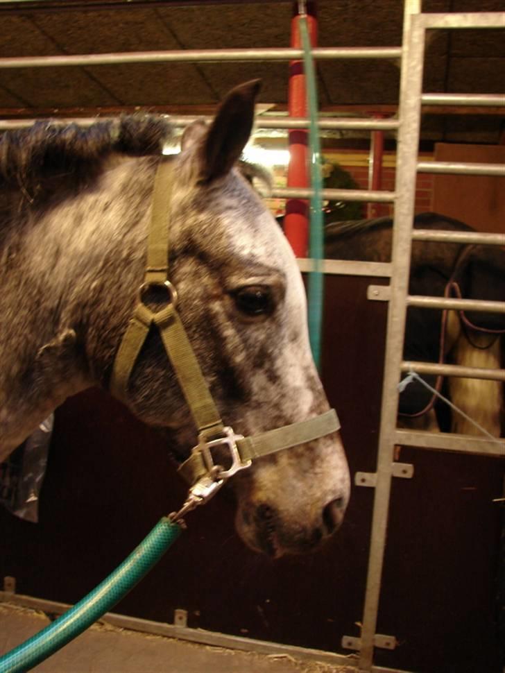 Julie og Nikoline billede 75