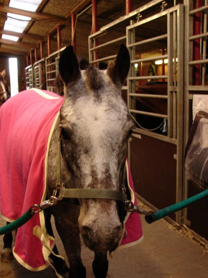 Julie og Nikoline billede 76