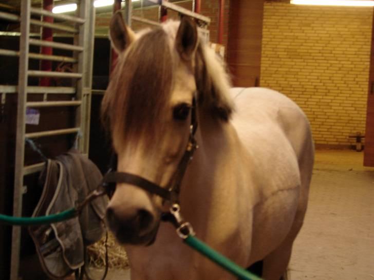 Julie og Nikoline billede 77