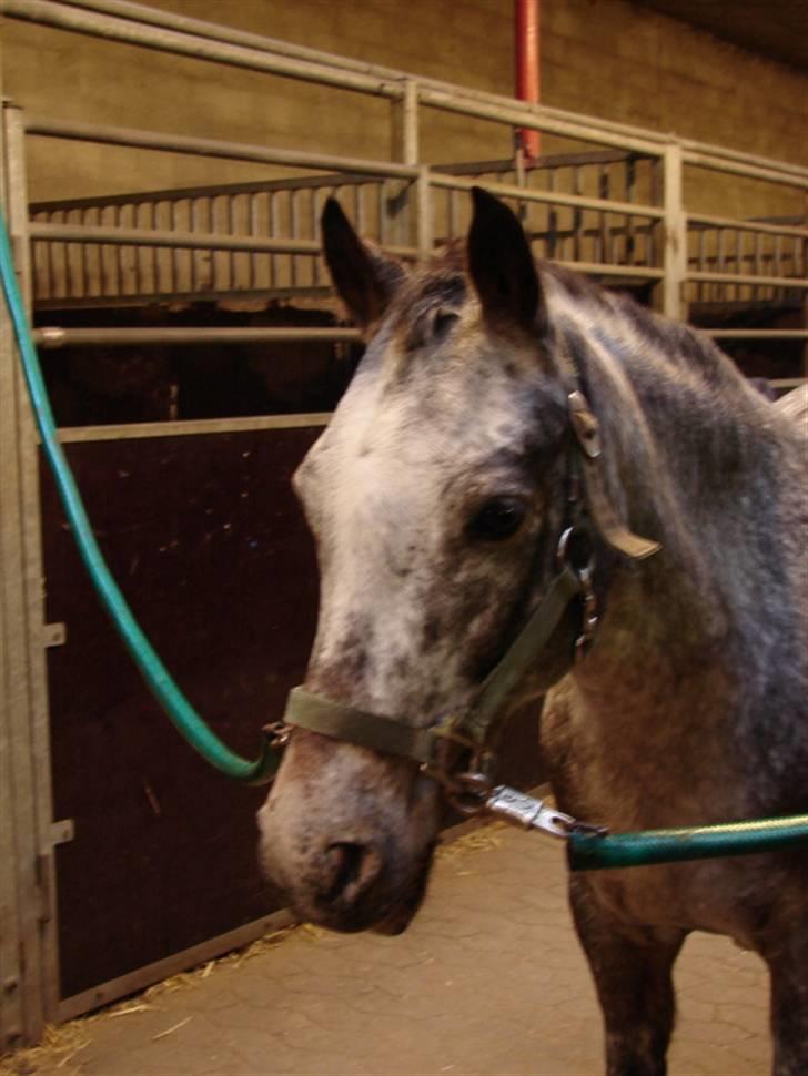 Julie og Nikoline billede 78