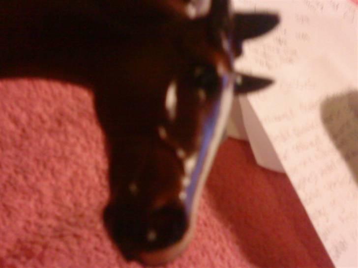 Min plastik hest billede 1