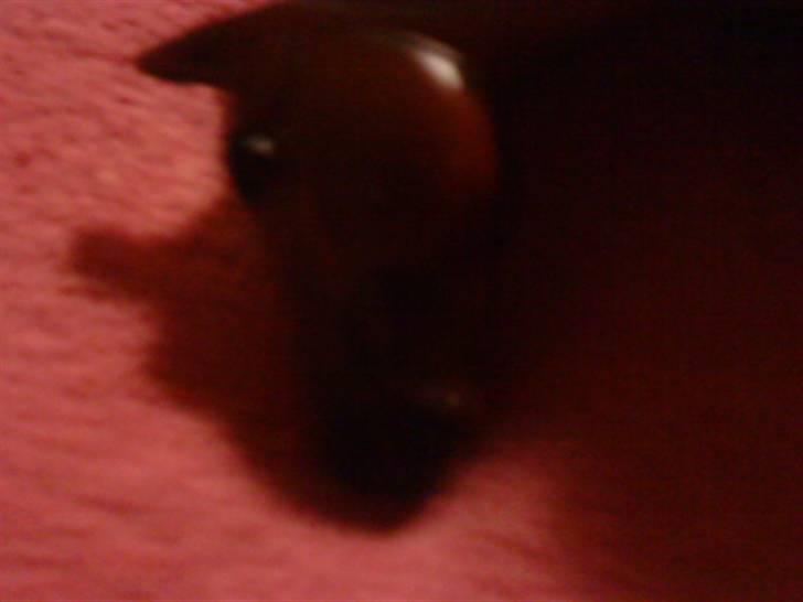 Min plastik hest billede 2