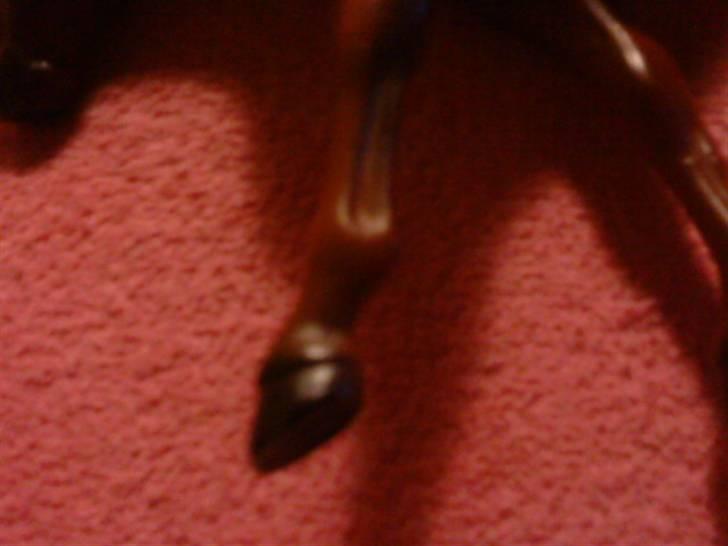 Min plastik hest billede 3