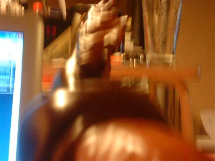 Min plastik hest billede 6