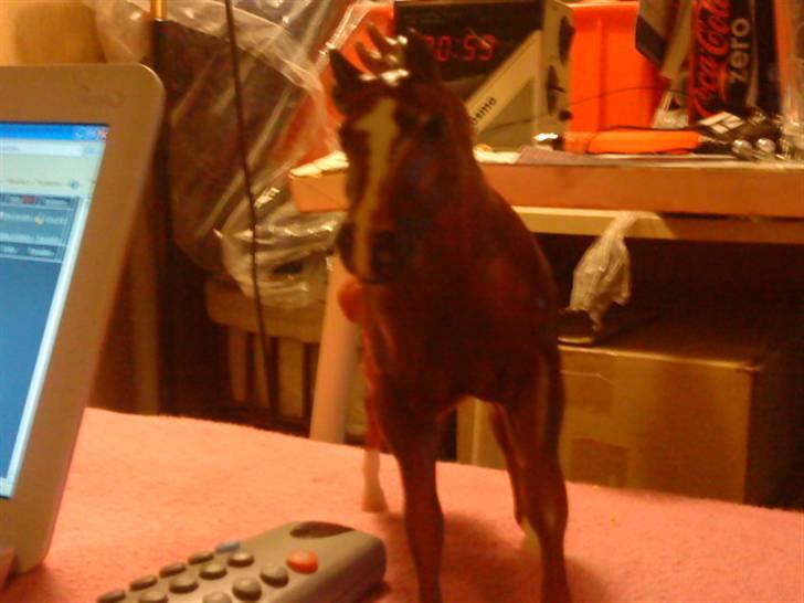 Min plastik hest billede 7