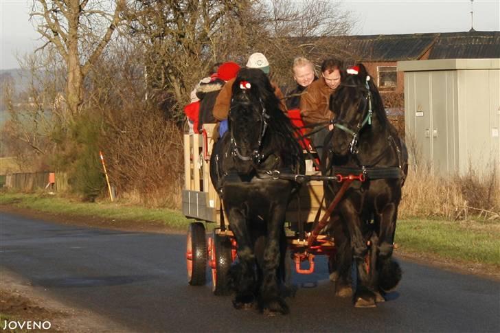 Herros og Wander som tospand :oD - Juletur med Helle og Chris og Svend og Gitte + diverse unger :o)
13/12 2009 billede 14