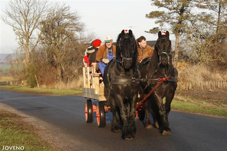 Herros og Wander som tospand :oD - Juletur med Helle og Chris og Svend og Gitte + diverse unger :o)
13/12 2009 billede 15