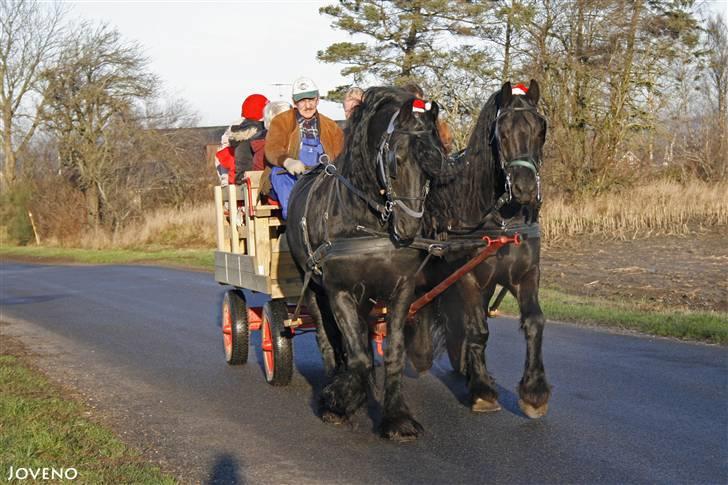 Herros og Wander som tospand :oD - Juletur med Helle og Chris og Svend og Gitte + diverse unger :o)
13/12 2009 billede 16