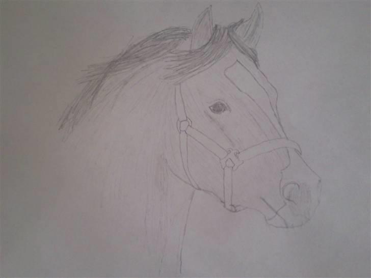 Tegninger og malerier - Tja når man keder sig? xD billede 4