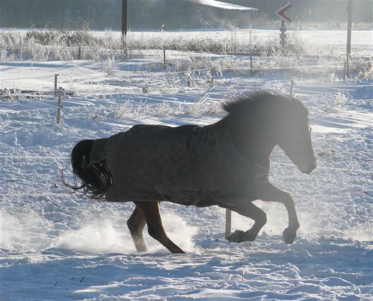 SNE ! Ice Cube & Wonder Step billede 7