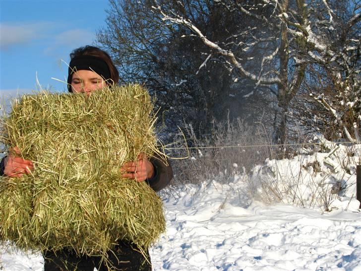 SNE ! Ice Cube & Wonder Step billede 10