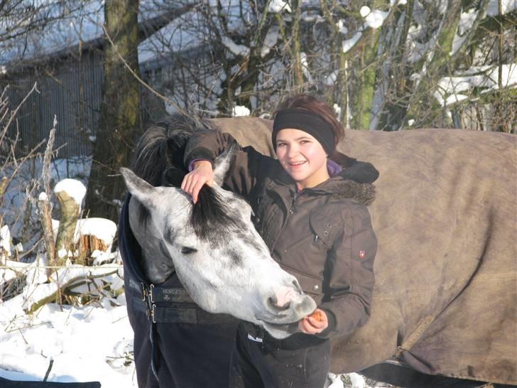 SNE ! Ice Cube & Wonder Step billede 12