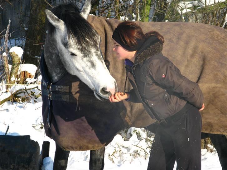 SNE ! Ice Cube & Wonder Step billede 14