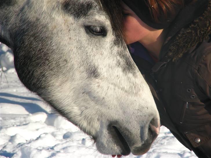 SNE ! Ice Cube & Wonder Step billede 15
