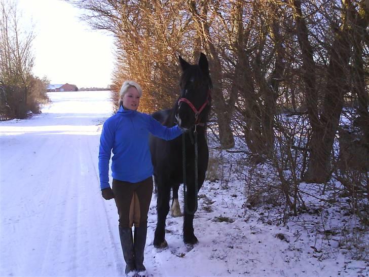 Verdens smukkeste pony billede 11