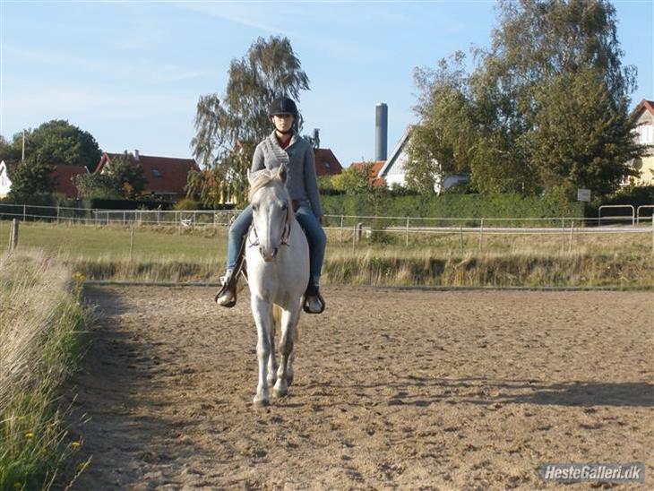 {{currentPhoto.altText}} billede {{currentPhoto.number}}